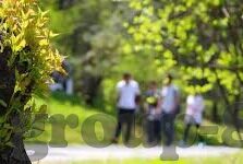 中协足球比分网-中协足球比分网，球迷的实时信息枢纽与足球文化新阵地